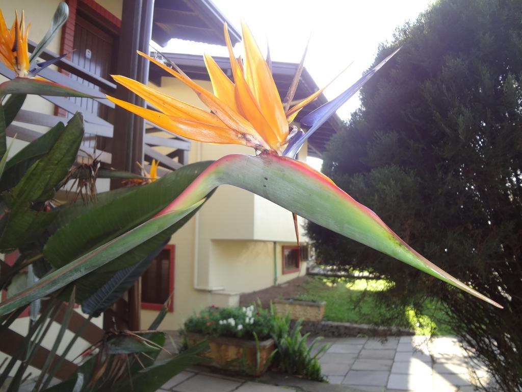 Pousada Floratta Nossa Casa Gramado Exteriér fotografie