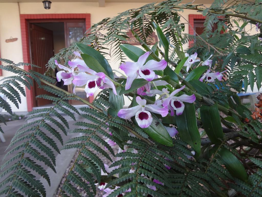 Pousada Floratta Nossa Casa Gramado Exteriér fotografie